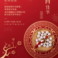 武漢福鑫化工有限公司全體員工一起過元宵！??！